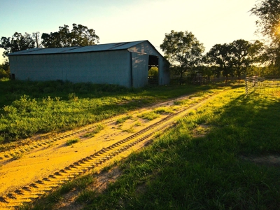 Land For Sale Cedar County Mo - image 12