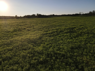 Land For Sale Cedar County Mo - image 24