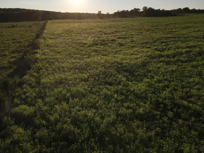 Land For Sale Cedar County Mo - image 23