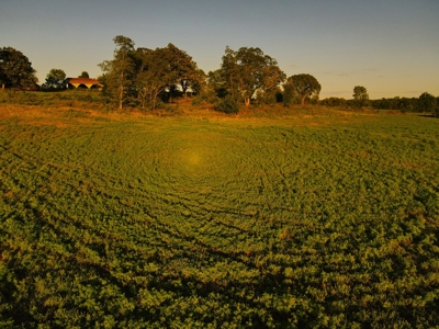 Land For Sale Cedar County Mo - image 9