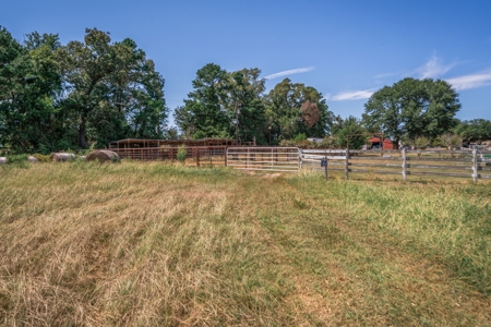 Country Ranch on 73 Acres near Longview, TX - image 33