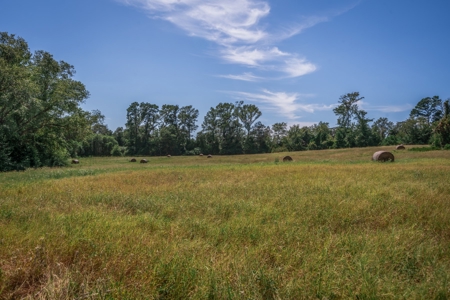 Country Ranch on 73 Acres near Longview, TX - image 32