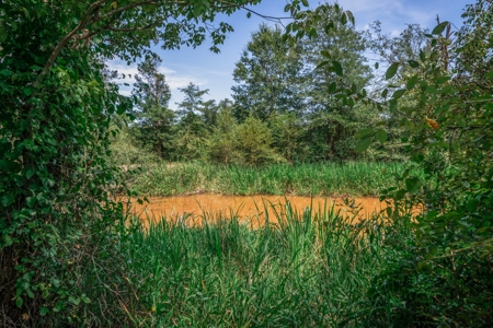 Country Ranch on 73 Acres near Longview, TX - image 31