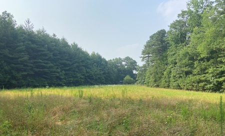 Buildable Lots for Sale at Auction in Richmond VA! - image 4