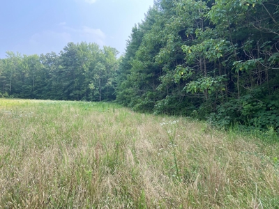 Buildable Lots for Sale at Auction in Richmond VA! - image 3
