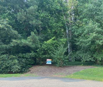 Buildable Lots for Sale at Auction in Richmond VA! - image 6