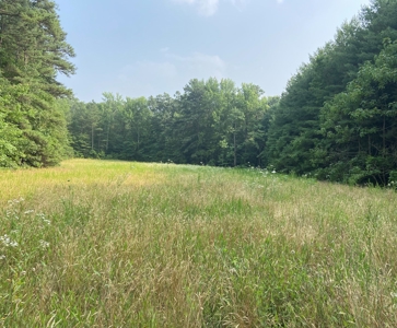 Buildable Lots for Sale at Auction in Richmond VA! - image 2