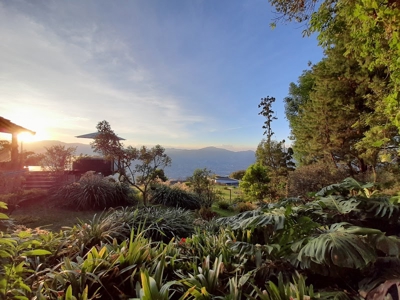 Dream home with beautifull view in Las Palmas - image 4