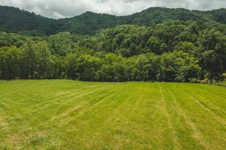 Land for Sale in Abingdon VA - image 14