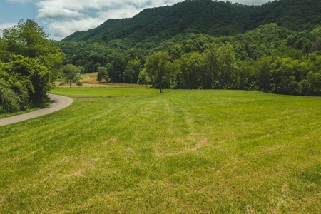 Land for Sale in Abingdon VA - image 13