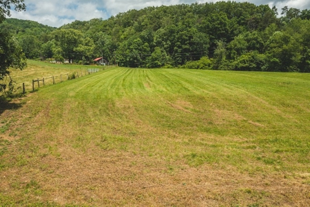 Land for Sale in Abingdon VA - image 11