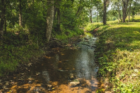 Land for Sale in Abingdon VA - image 2