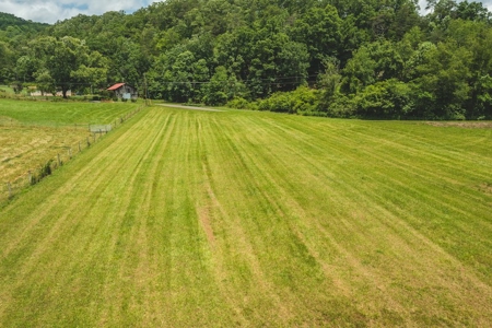 Land for Sale in Abingdon VA - image 12