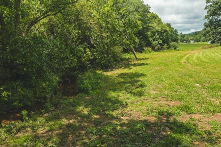 Land for Sale in Abingdon VA - image 8