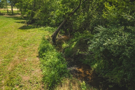 Land for Sale in Abingdon VA - image 9