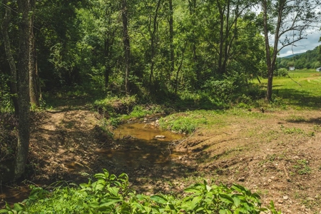 Land for Sale in Abingdon VA - image 7
