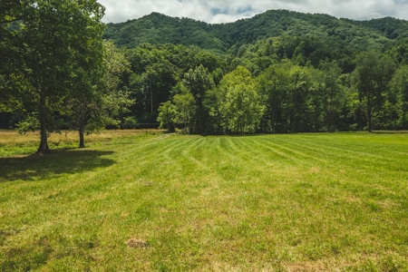 Land for Sale in Abingdon VA - image 18