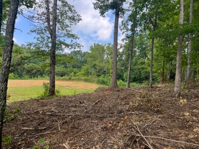 2 Acres For Sale Greene County, Tennessee - image 11