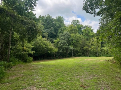 2 Acres For Sale Greene County, Tennessee - image 8