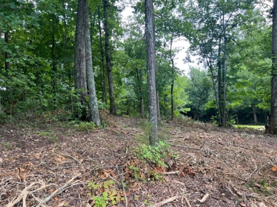 2 Acres For Sale Greene County, Tennessee - image 24