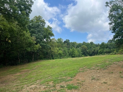 2 Acres For Sale Greene County, Tennessee - image 2