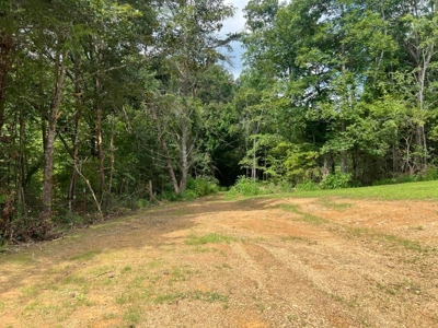 2 Acres For Sale Greene County, Tennessee - image 27