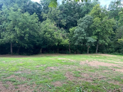 2 Acres For Sale Greene County, Tennessee - image 9