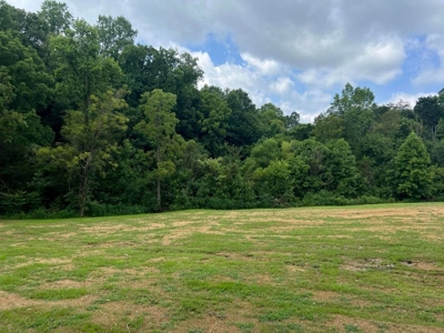 2 Acres For Sale Greene County, Tennessee - image 13