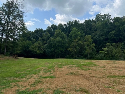 2 Acres For Sale Greene County, Tennessee - image 18