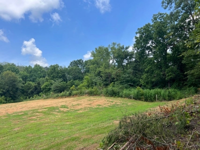 2 Acres For Sale Greene County, Tennessee - image 25