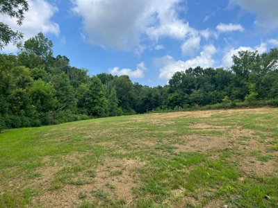 2 Acres For Sale Greene County, Tennessee - image 31