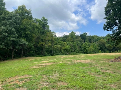 2 Acres For Sale Greene County, Tennessee - image 1