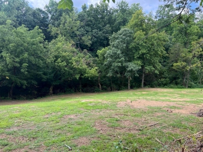 2 Acres For Sale Greene County, Tennessee - image 10