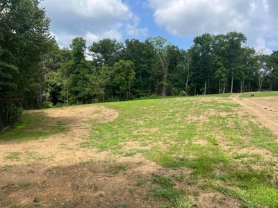 2 Acres For Sale Greene County, Tennessee - image 7