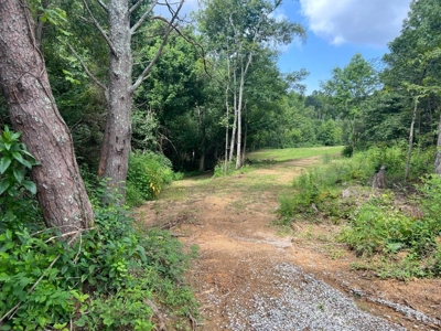 2 Acres For Sale Greene County, Tennessee - image 4