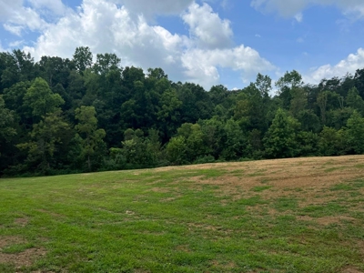 2 Acres For Sale Greene County, Tennessee - image 19