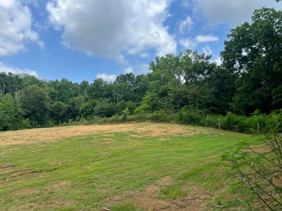 2 Acres For Sale Greene County, Tennessee - image 30