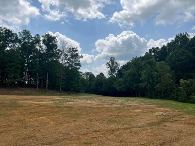 2 Acres For Sale Greene County, Tennessee - image 16