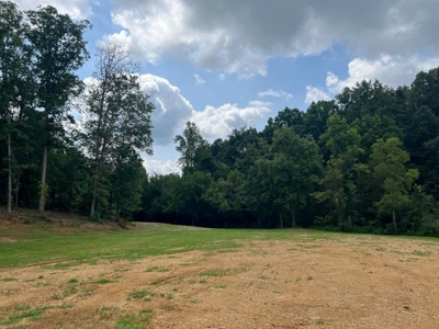 2 Acres For Sale Greene County, Tennessee - image 15