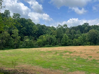2 Acres For Sale Greene County, Tennessee - image 21