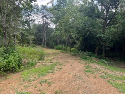 2 Acres For Sale Greene County, Tennessee - image 26