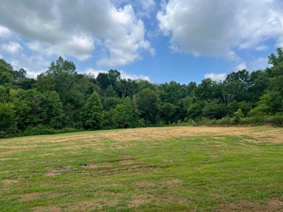 2 Acres For Sale Greene County, Tennessee - image 29