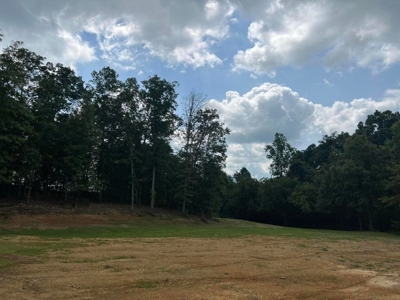 2 Acres For Sale Greene County, Tennessee - image 17