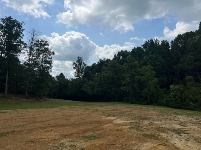 2 Acres For Sale Greene County, Tennessee - image 14