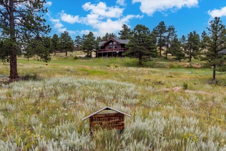 Custom-built Mountain Home - image 2