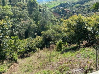 Land with great view in El retiro - image 5