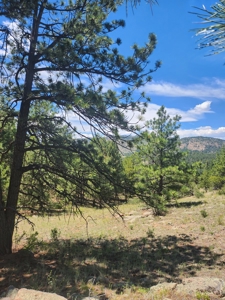 Colorado Land with Mountain Views - image 21