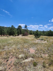 Colorado Land with Mountain Views - image 14