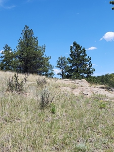 Colorado Land with Mountain Views - image 2