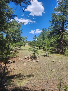 Colorado Land with Mountain Views - image 12